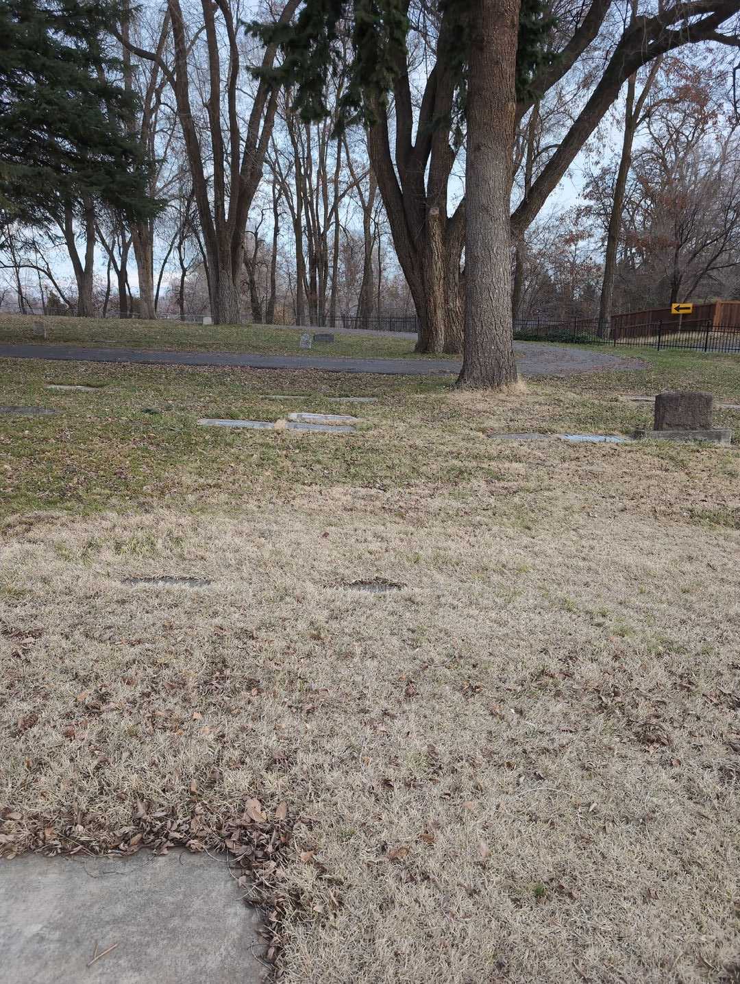 Alelia Rosetta "Rose" Lont's grave. Photo 2