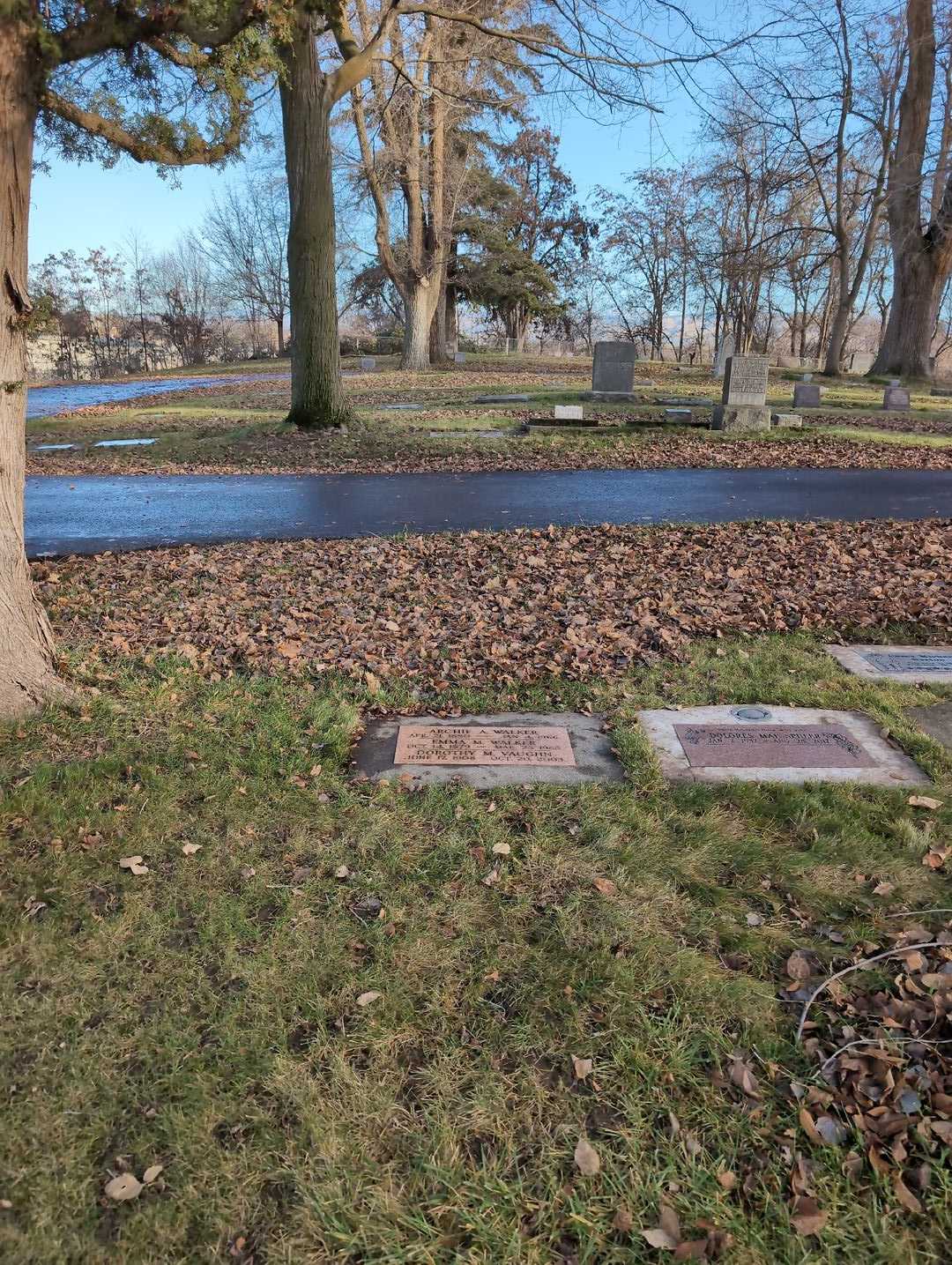 Archie A. Walker's grave. Photo 2