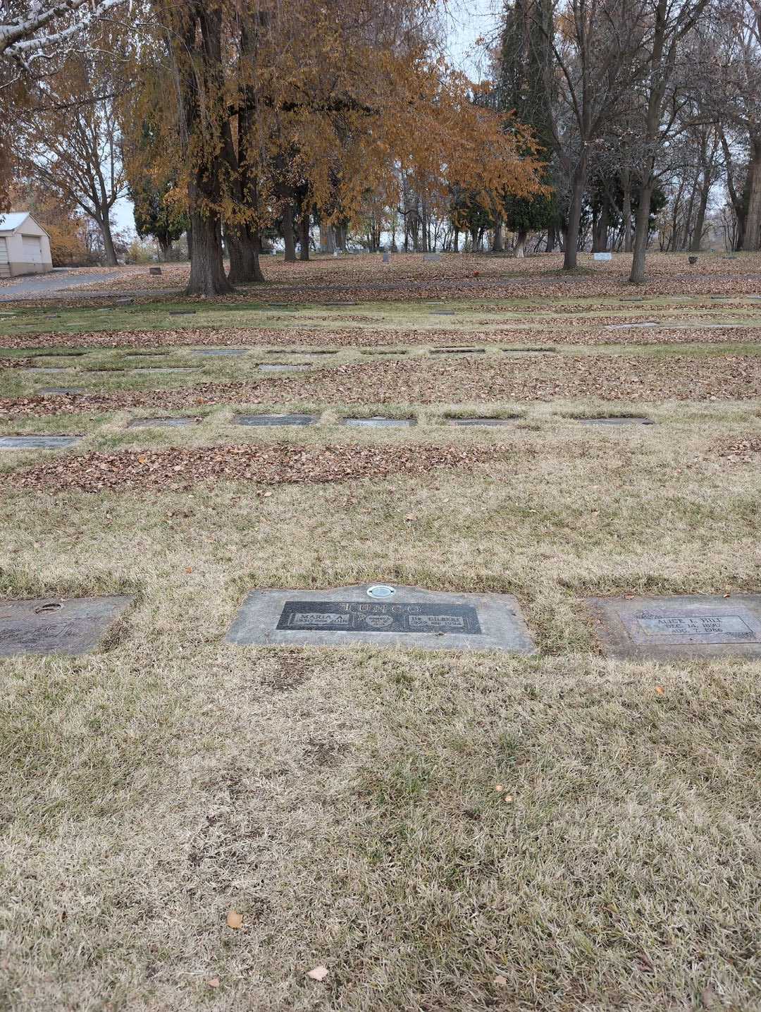 Doctor Gilbert Tunco's grave. Photo 2