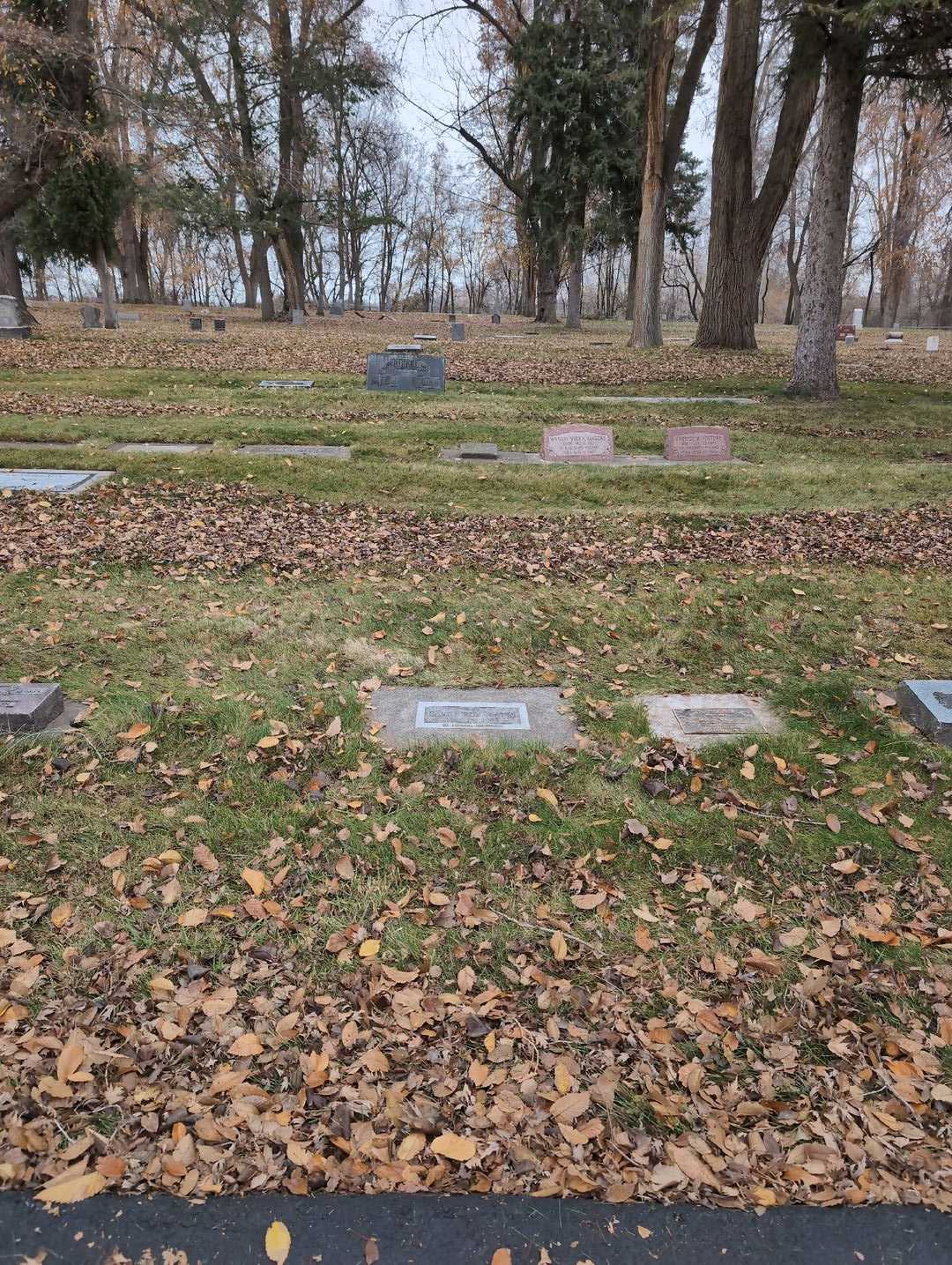 David Roy Watts's grave. Photo 2