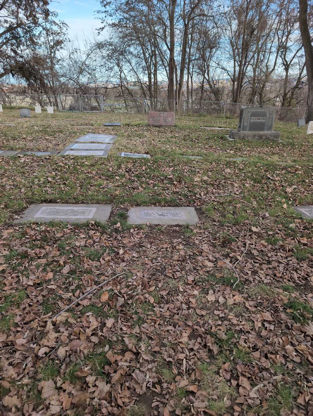 Lela Ruth Sanborn's grave. Photo 2