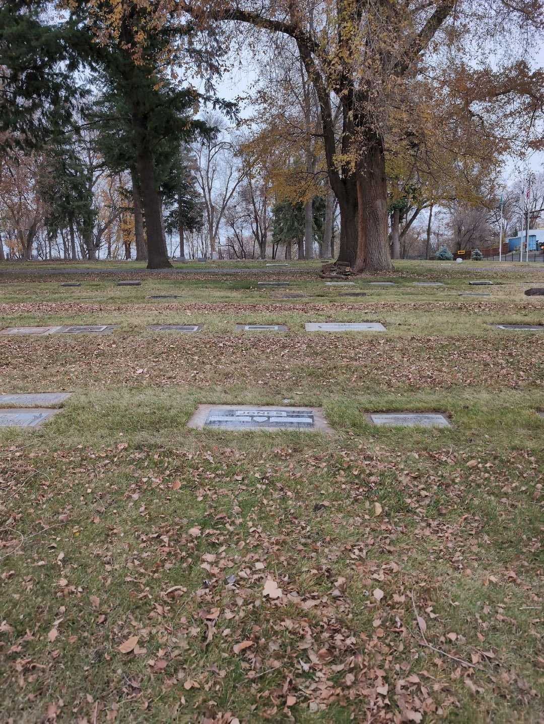 Trinity Kyle Jones's grave. Photo 4