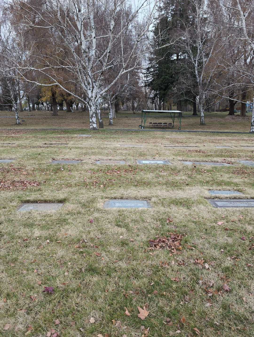 Lester Fristad's grave. Photo 2