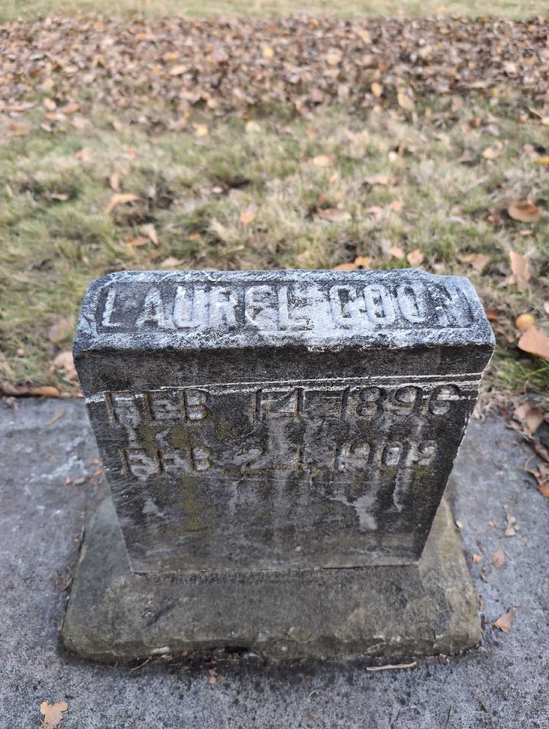 Laurel Luverne Coon's grave. Photo 4