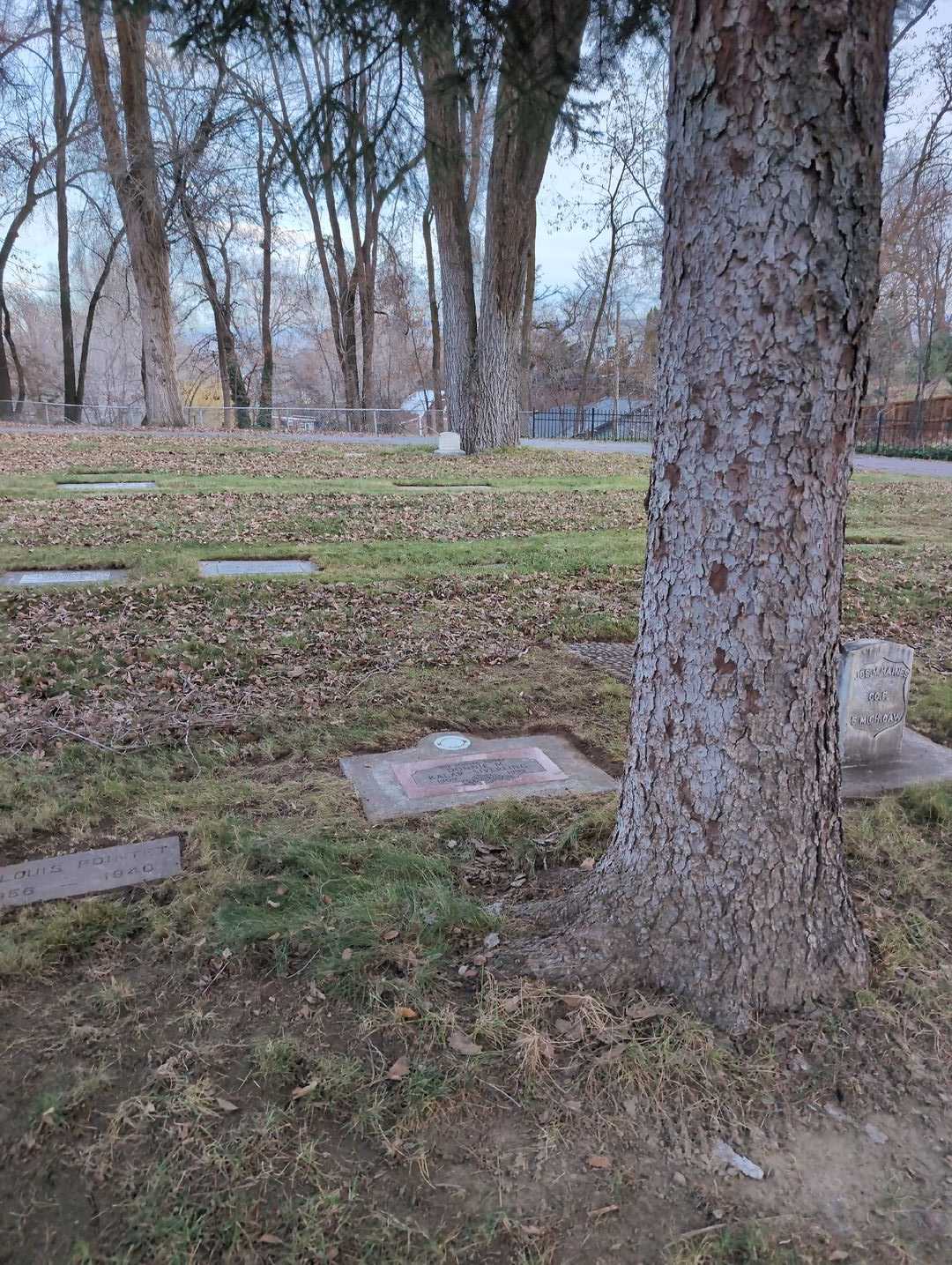 Donnie M. Kalar-Siverling's grave. Photo 2