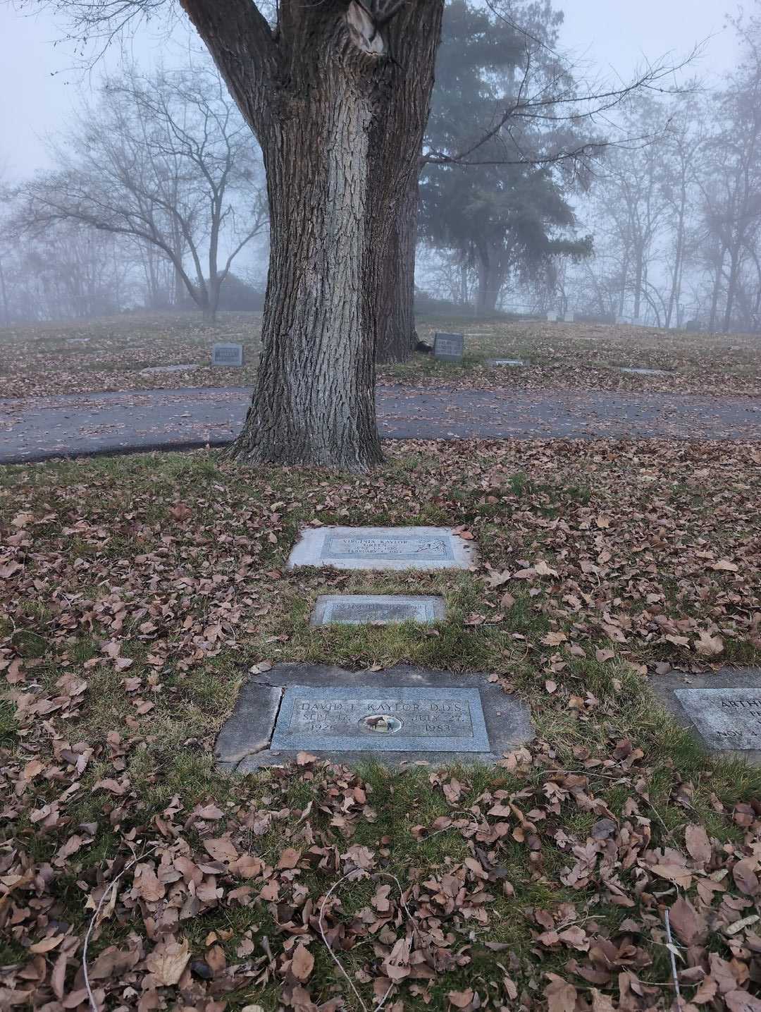 David F. Kaylor D. D. S.'s grave. Photo 6
