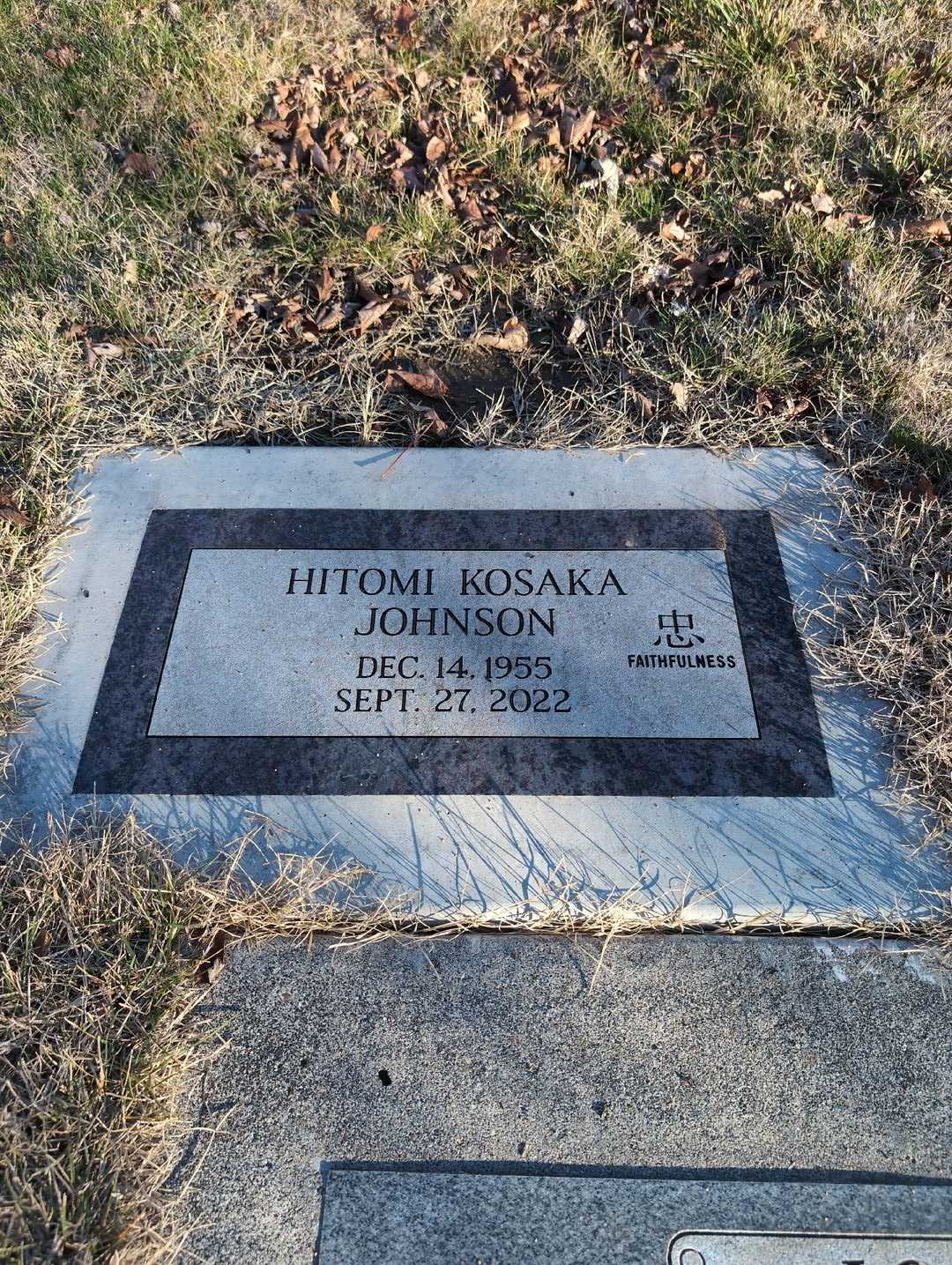 Arlene E. Johnson's grave. Photo 5