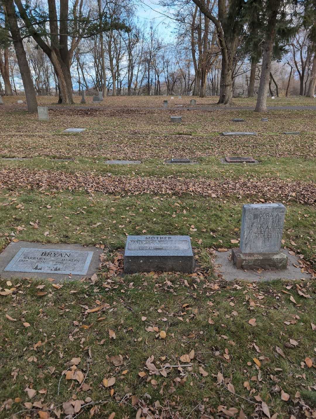 Mary B. Van Ausdle's grave. Photo 2