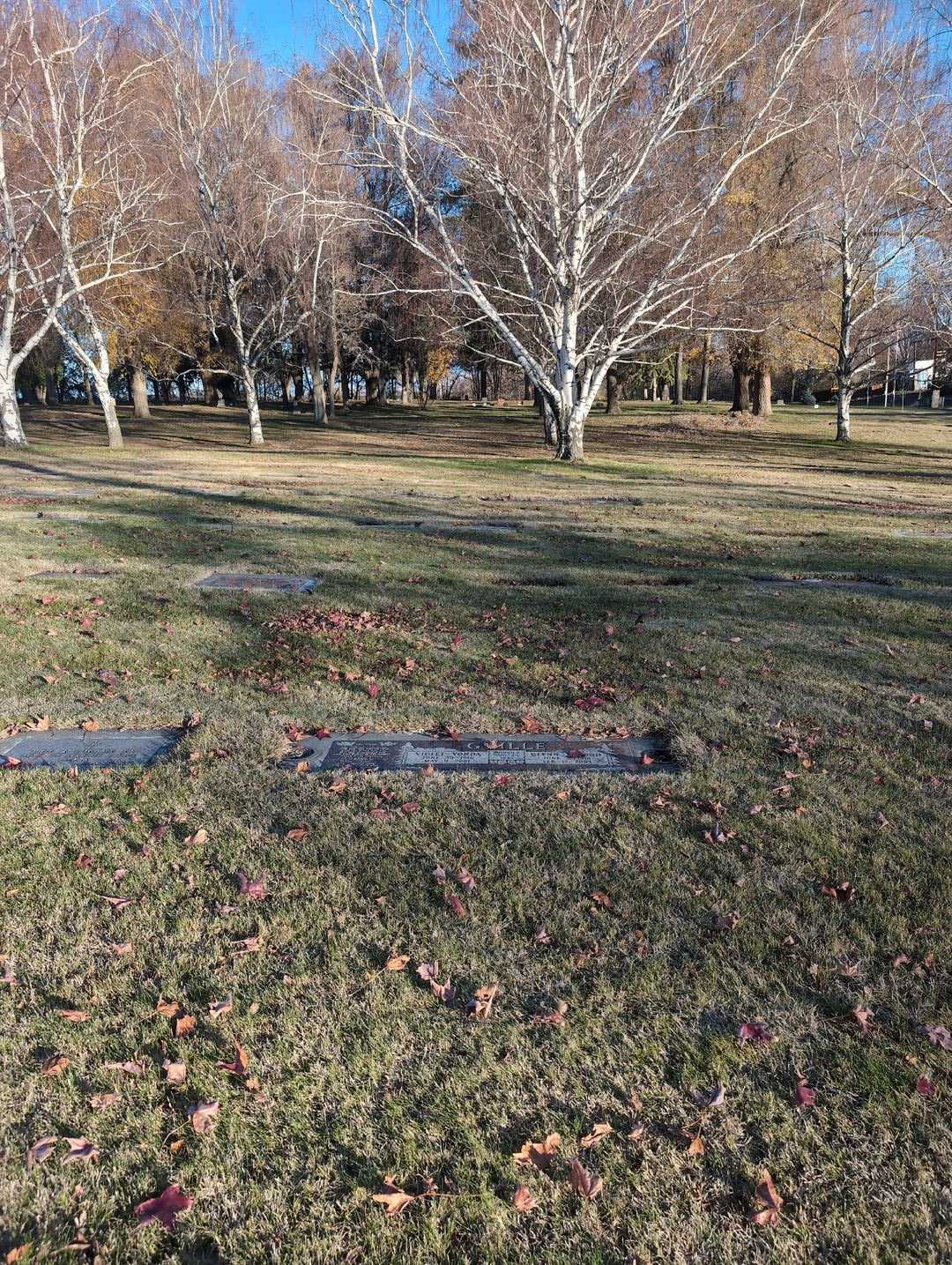 Violet Vonda Guille's grave. Photo 2