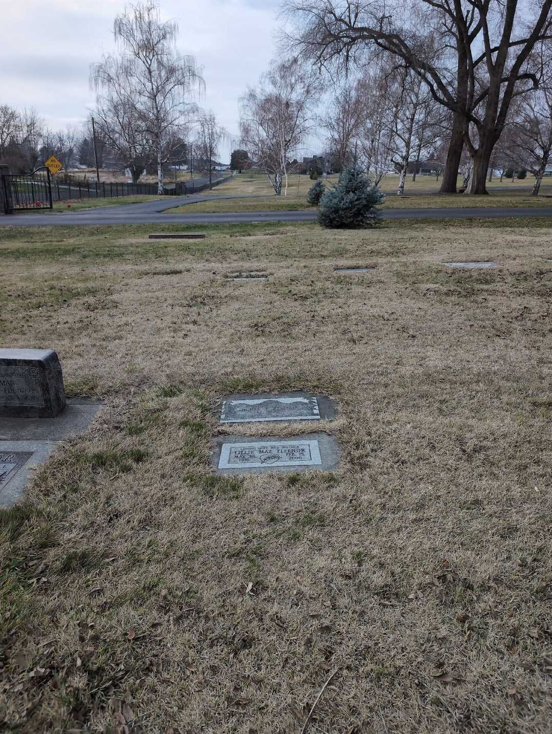 Lillie Mae Fleenor's grave. Photo 2