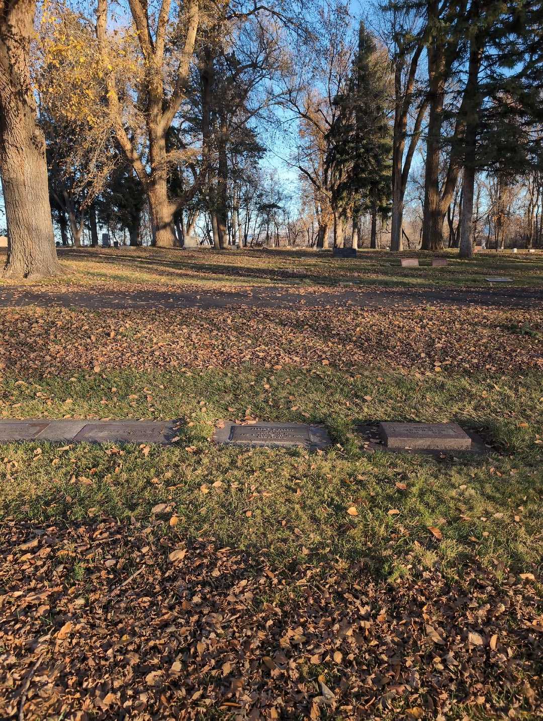 Albert T. Allen's grave. Photo 2