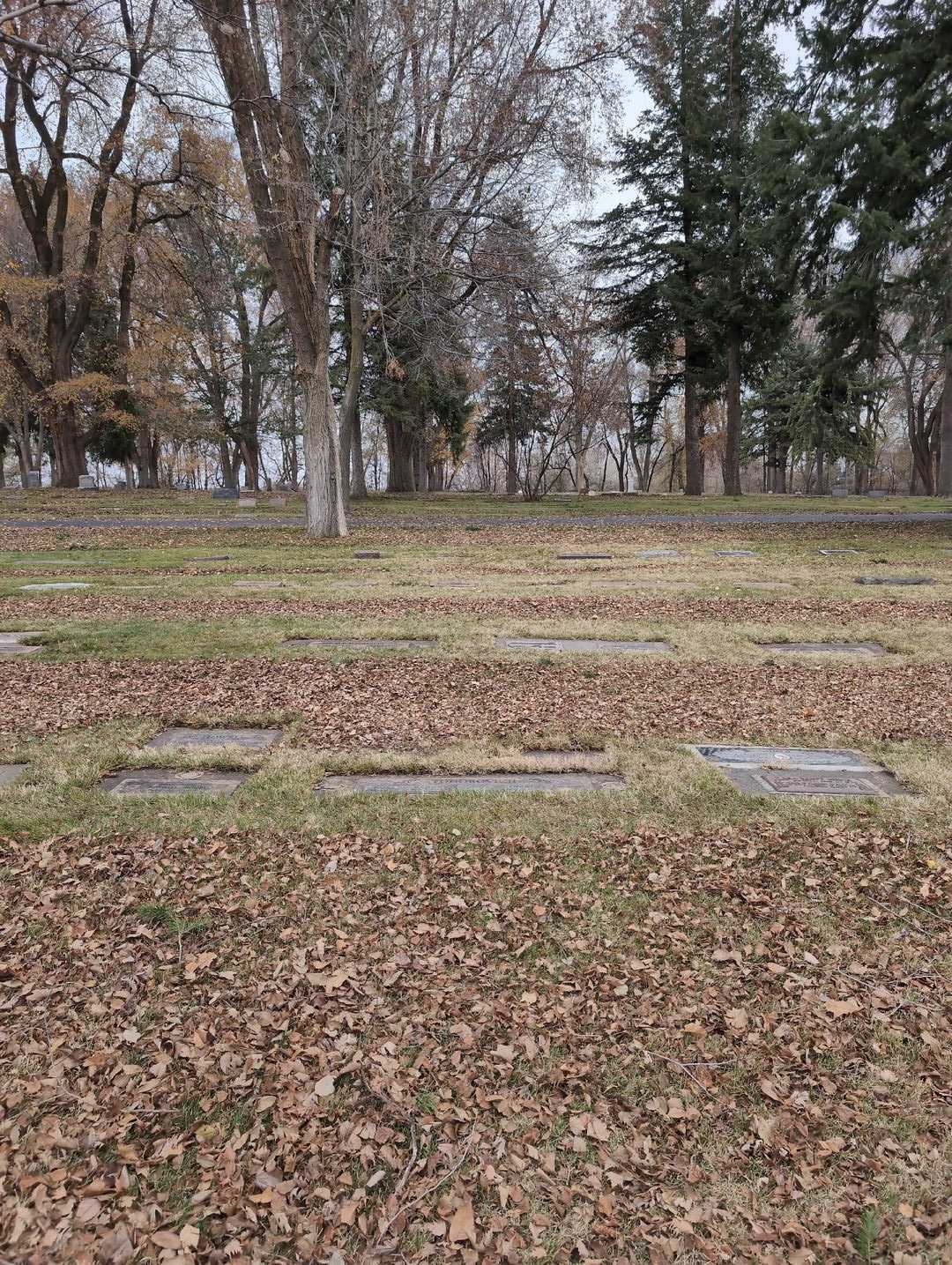 Frances Palma Todorovich's grave. Photo 2