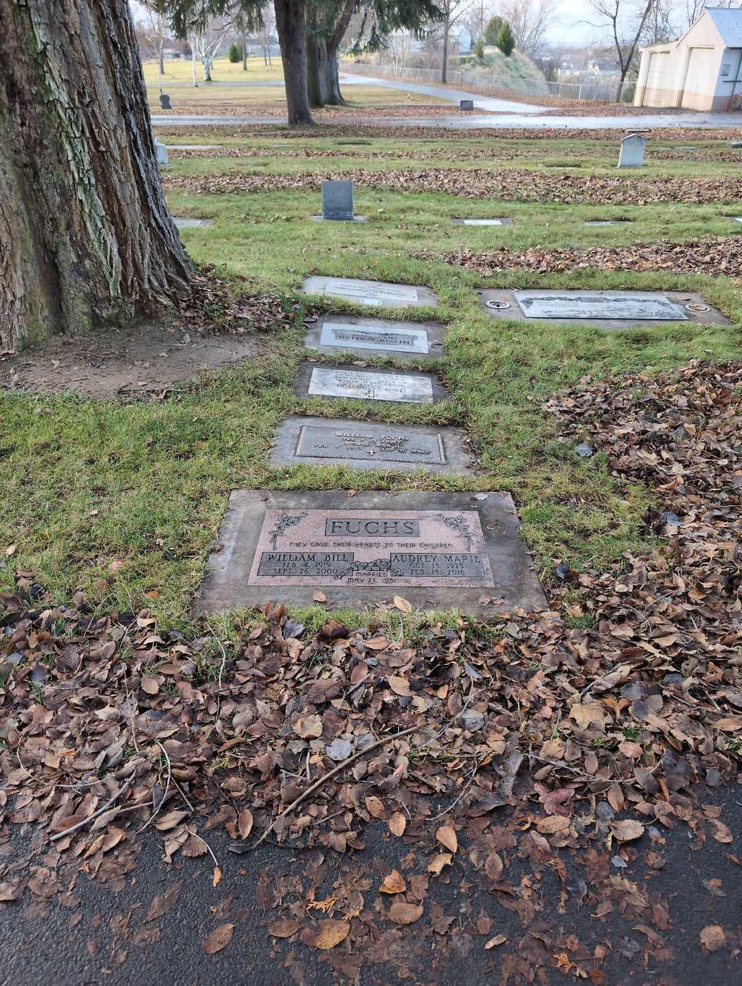 William "Bill" Fuchs's grave. Photo 2