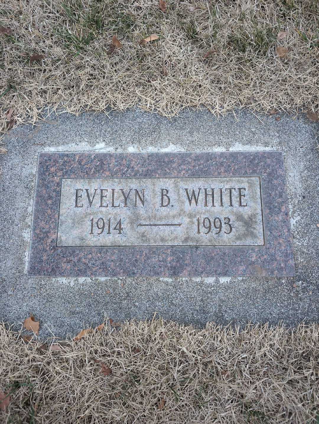Evelyn B. White's grave. Photo 3