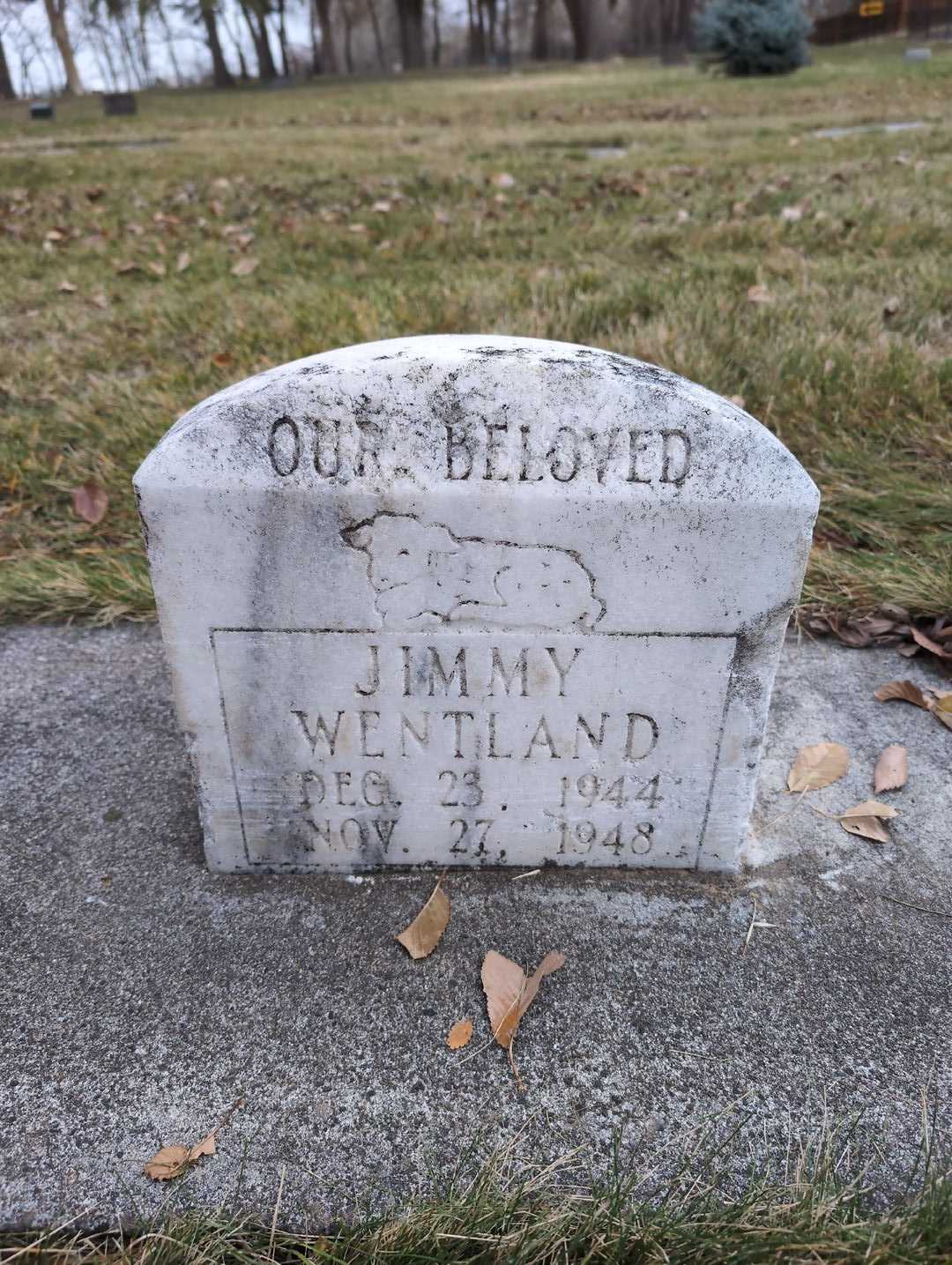 Esther L. Ochs's grave. Photo 1