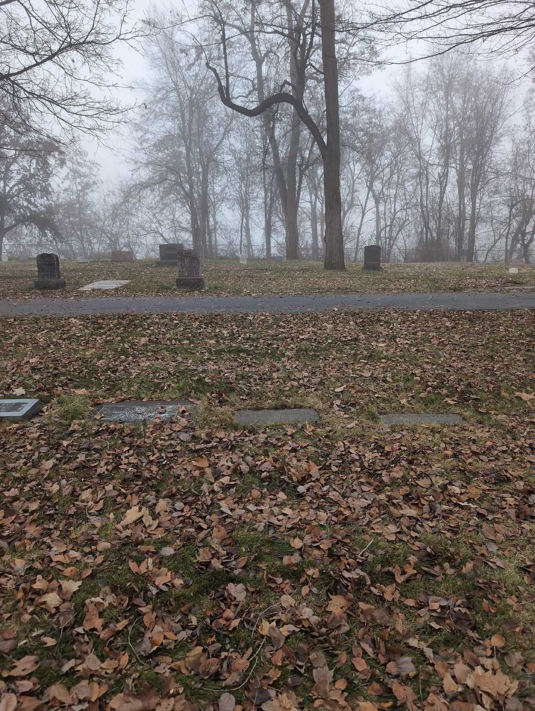 Henry Heidenreich's grave. Photo 2