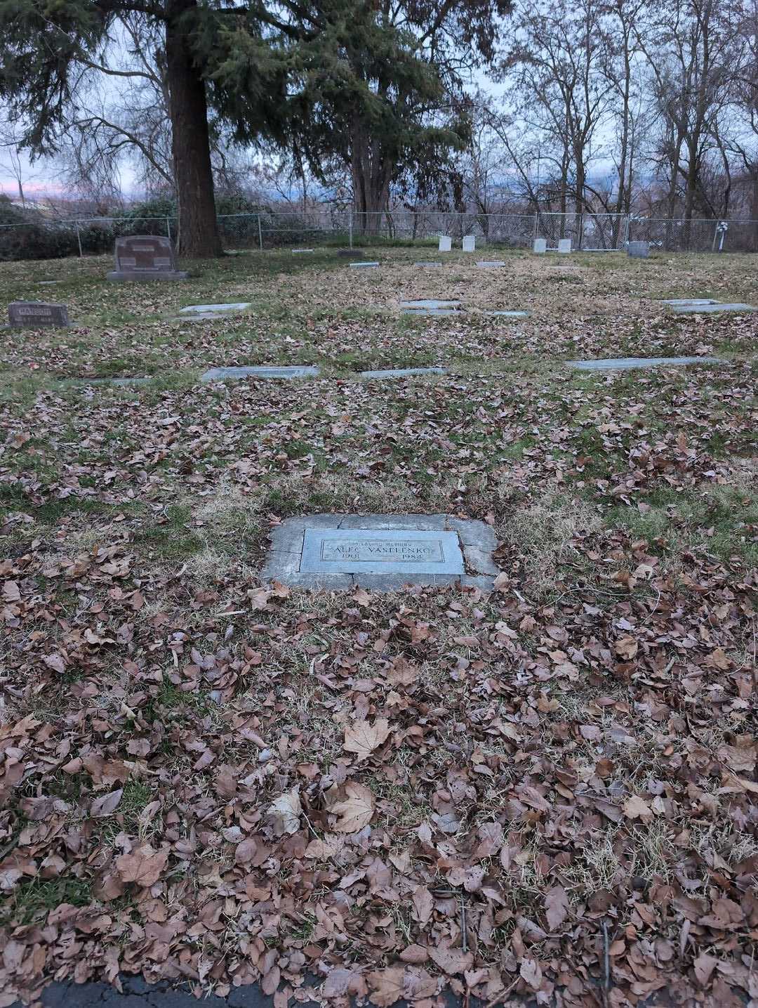 Alexander "Alec" Vaselenko's grave. Photo 2