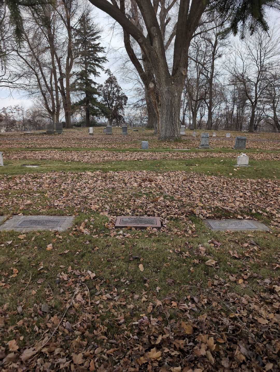 Betty Jean Cochran's grave. Photo 2