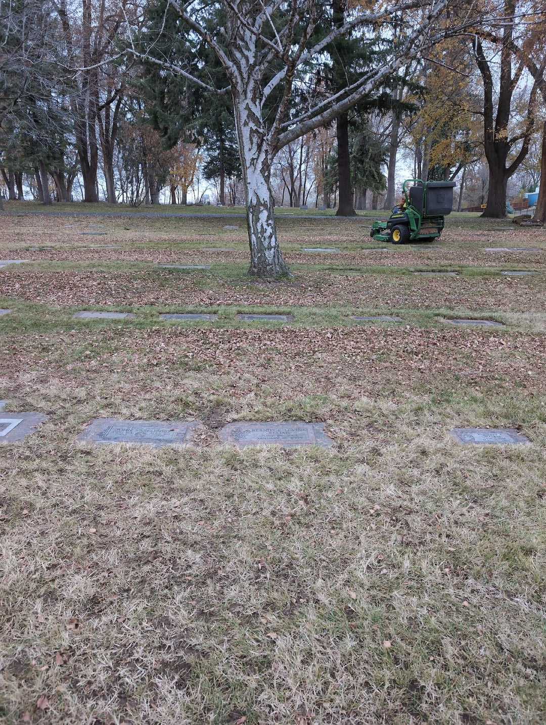Berniece Lovina Elijah's grave. Photo 2