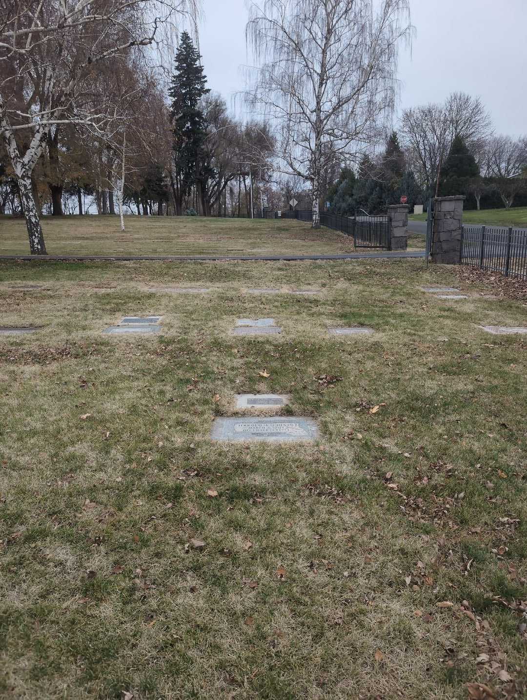 DeWillo Colvin's grave. Photo 2