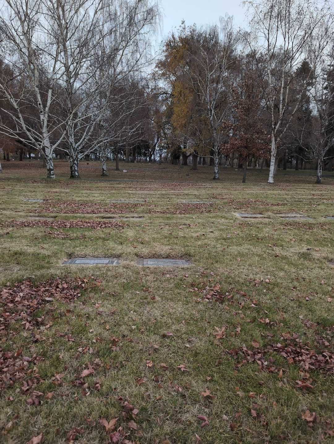 Theodore Edward Kellison's grave. Photo 2
