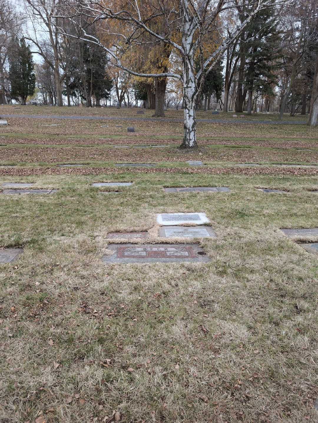 Laura F. Beck's grave. Photo 3
