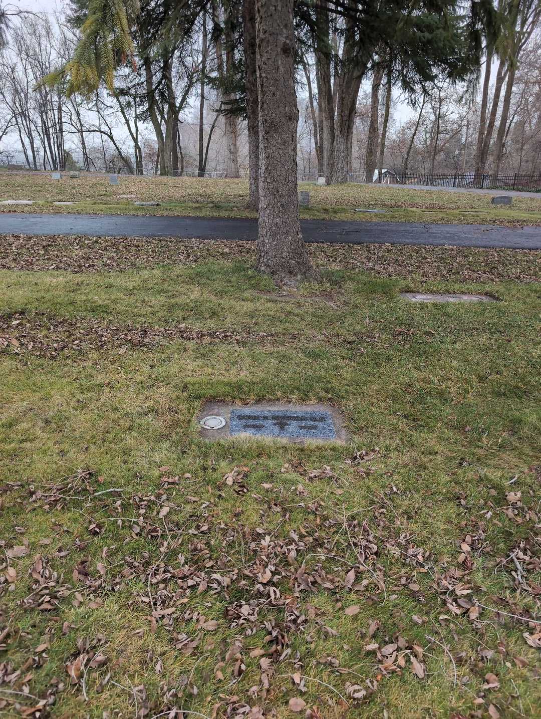 Clide E. Omstead M. D.'s grave. Photo 2