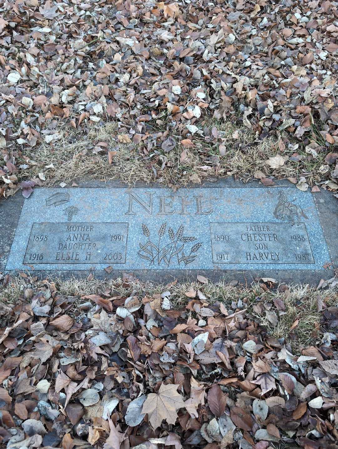 Elsie H. Neil's grave. Photo 3