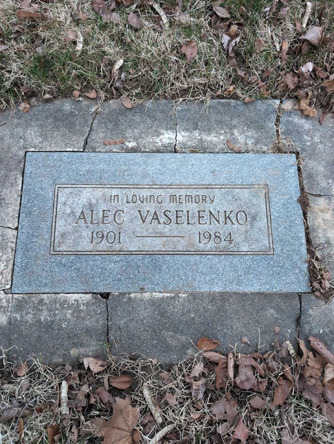Alexander "Alec" Vaselenko's grave. Photo 3