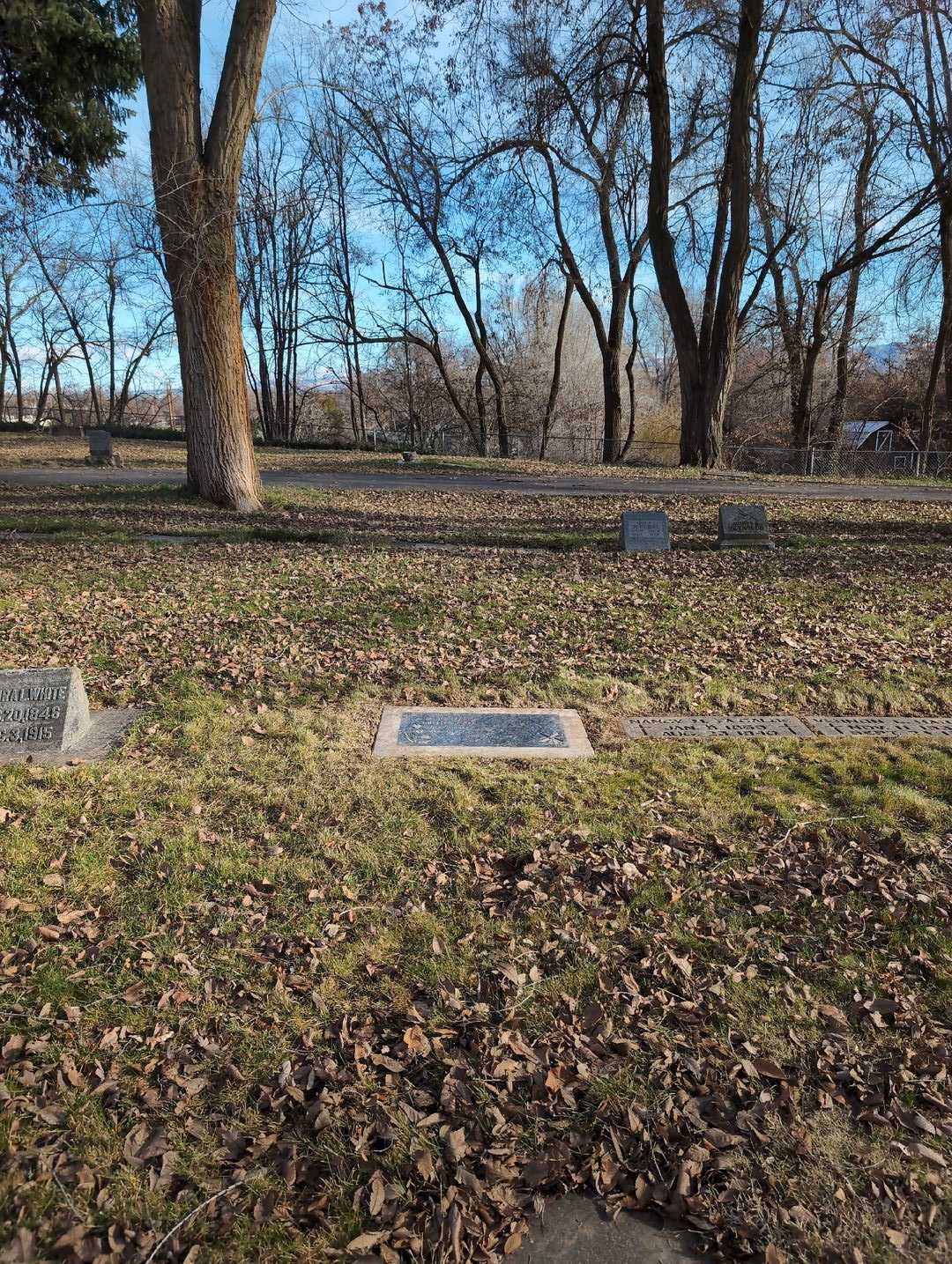 Janice Marie Ginter Wijma's grave. Photo 2