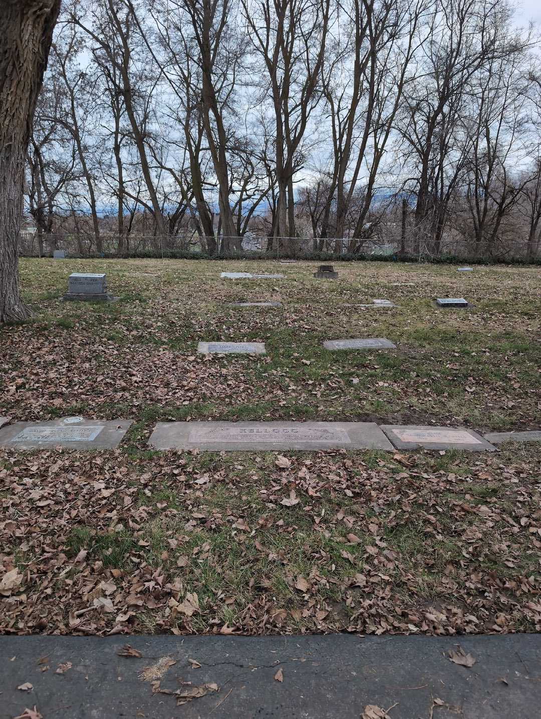 M. D. Irving Willmer Kellogg's grave. Photo 2
