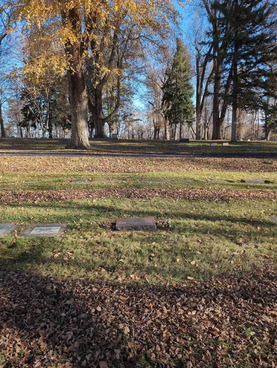 Harold G. Burgin's grave. Photo 2