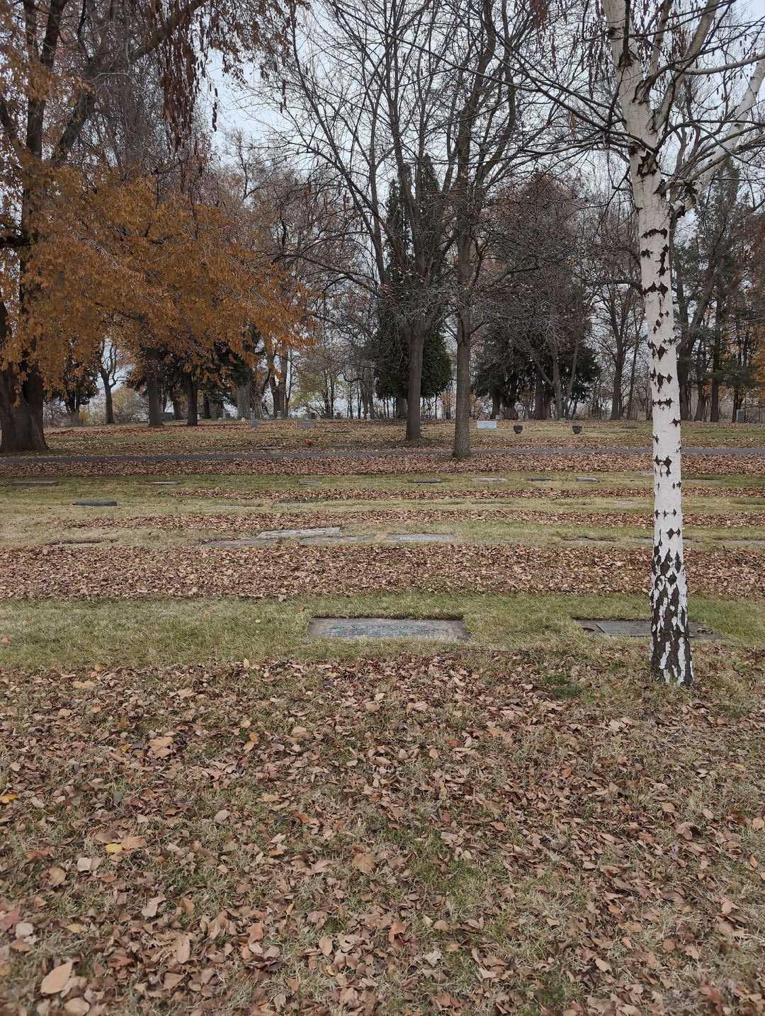 Maud A. Peterson's grave. Photo 2