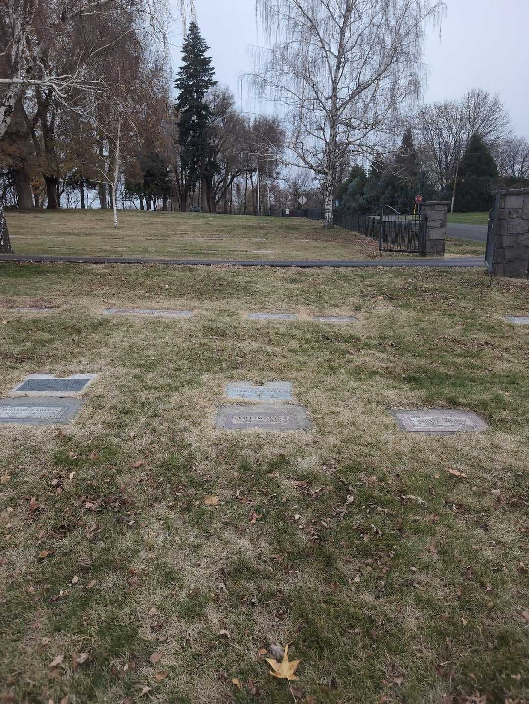 Grace Mae Colvin's grave. Photo 4