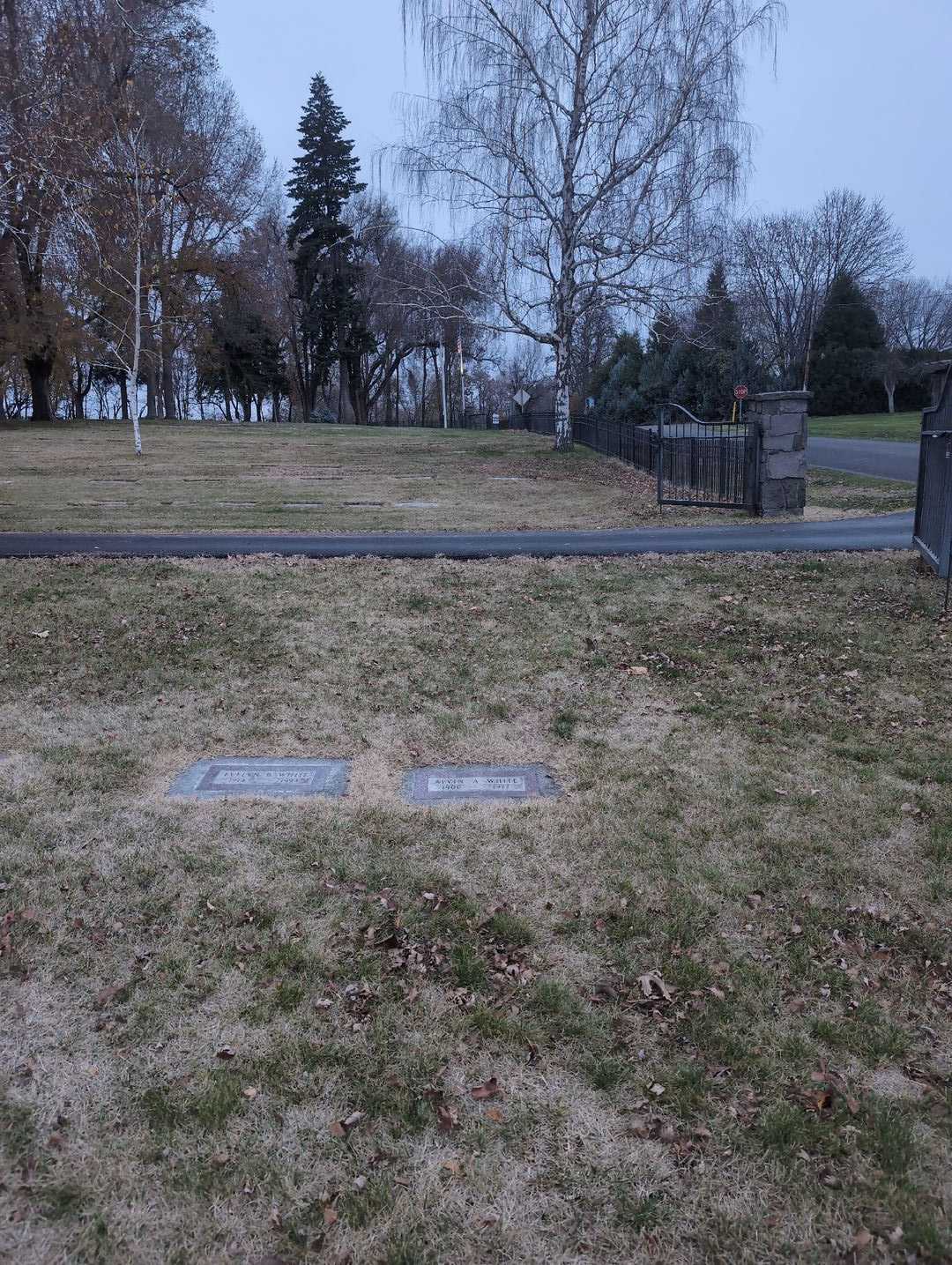 Alvin A. White's grave. Photo 2