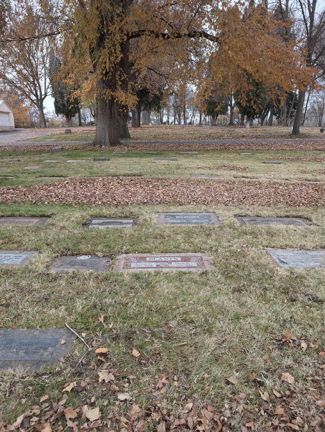 James E. Plants's grave. Photo 2