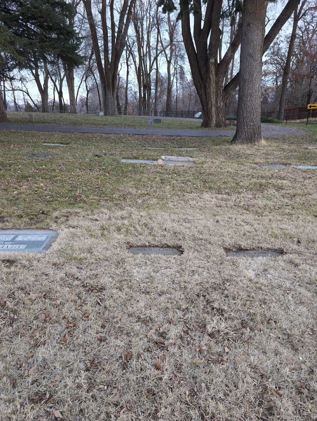 Nelson "Nels" Lont's grave. Photo 2