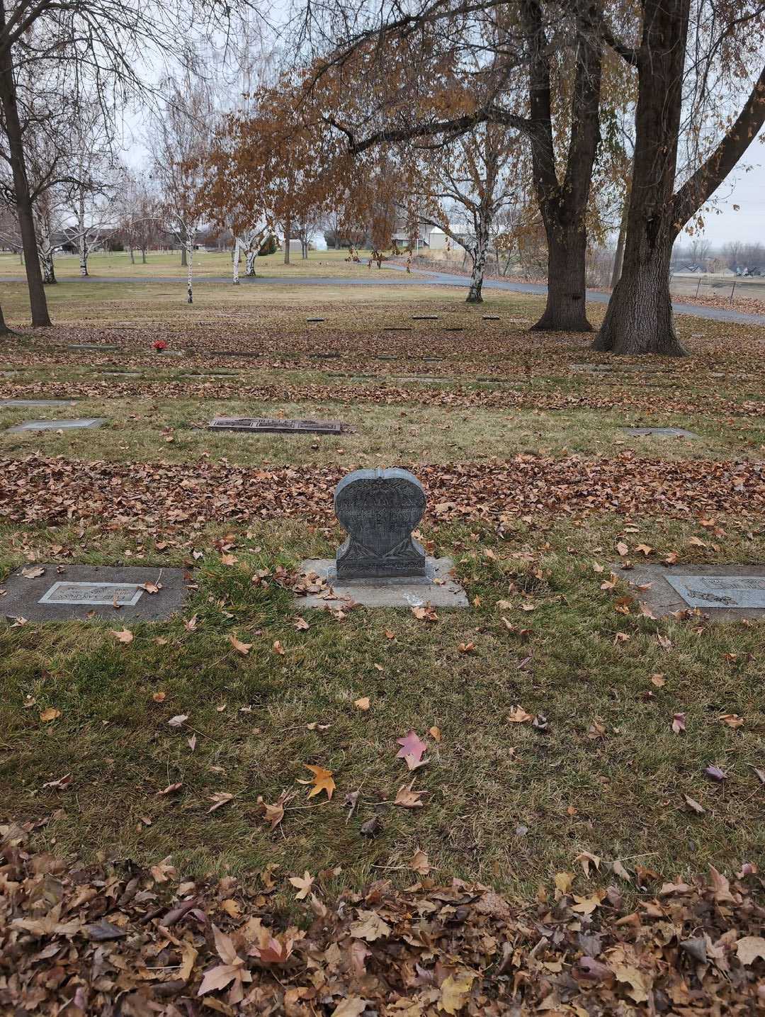 Lonnie L. Doll's grave. Photo 4