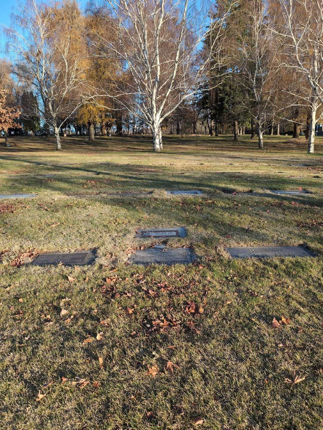 Stella Mae Rose's grave. Photo 2