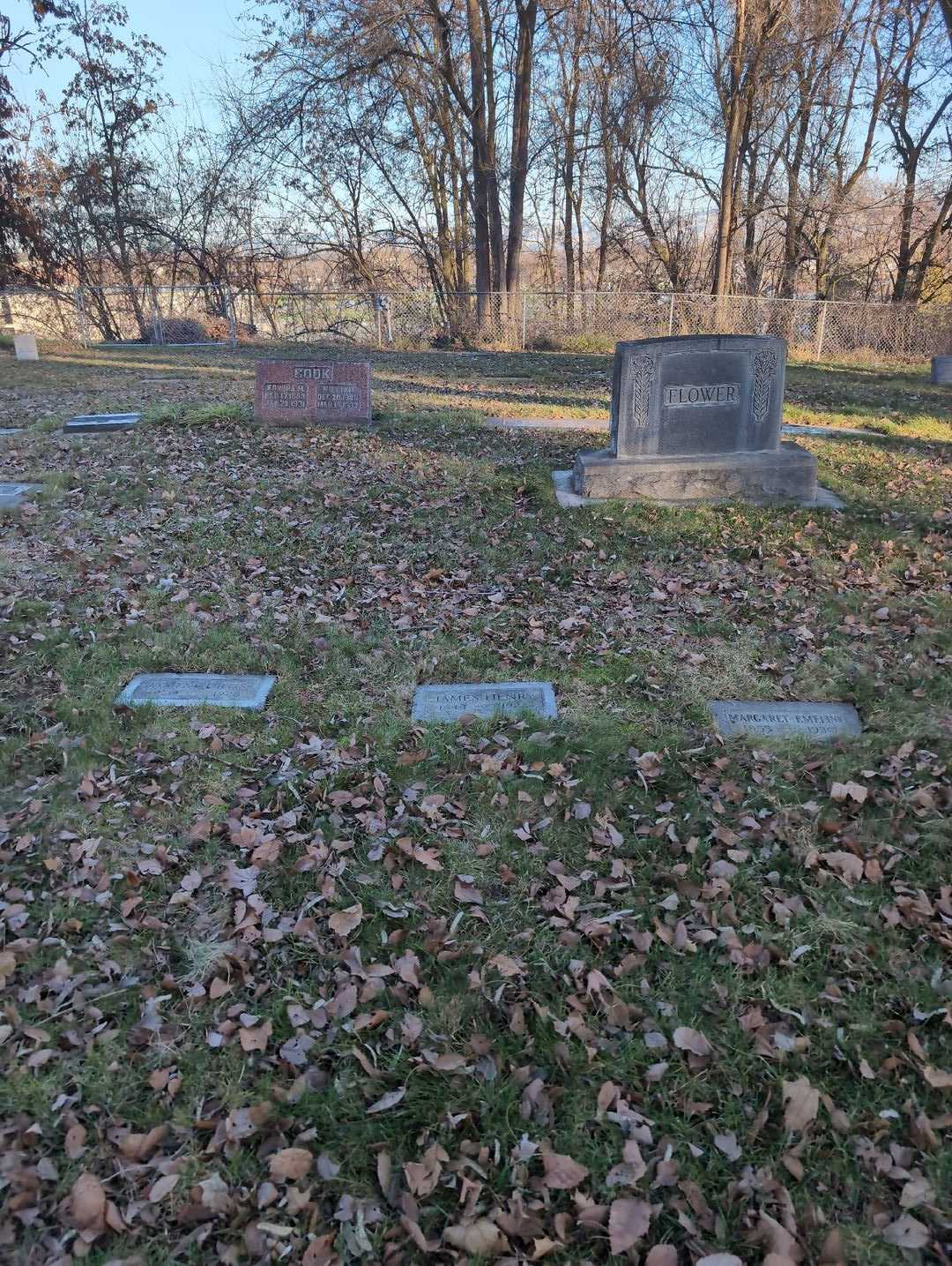 James Henry Flower's grave. Photo 2
