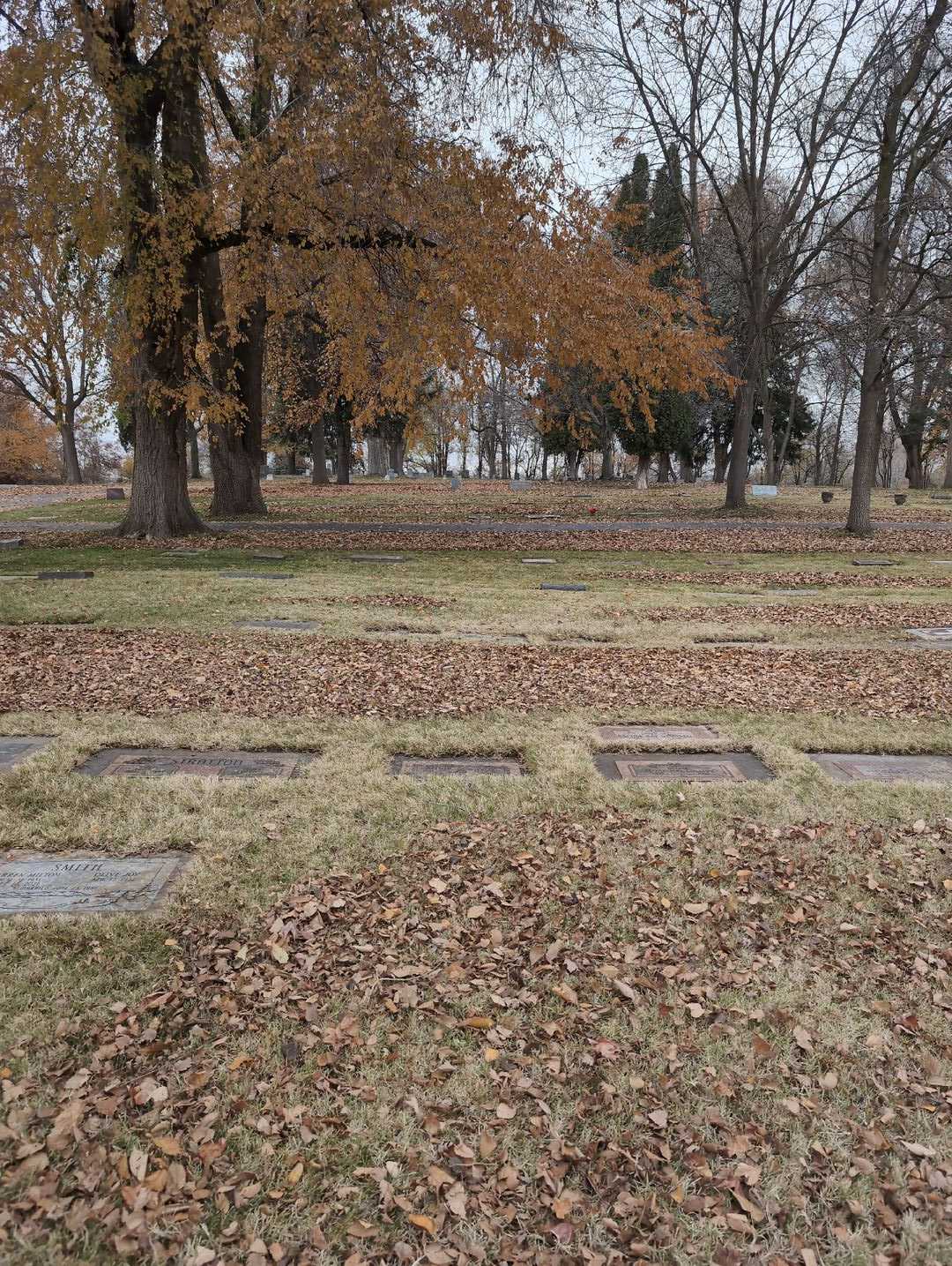 Annie Bokovoy's grave. Photo 2