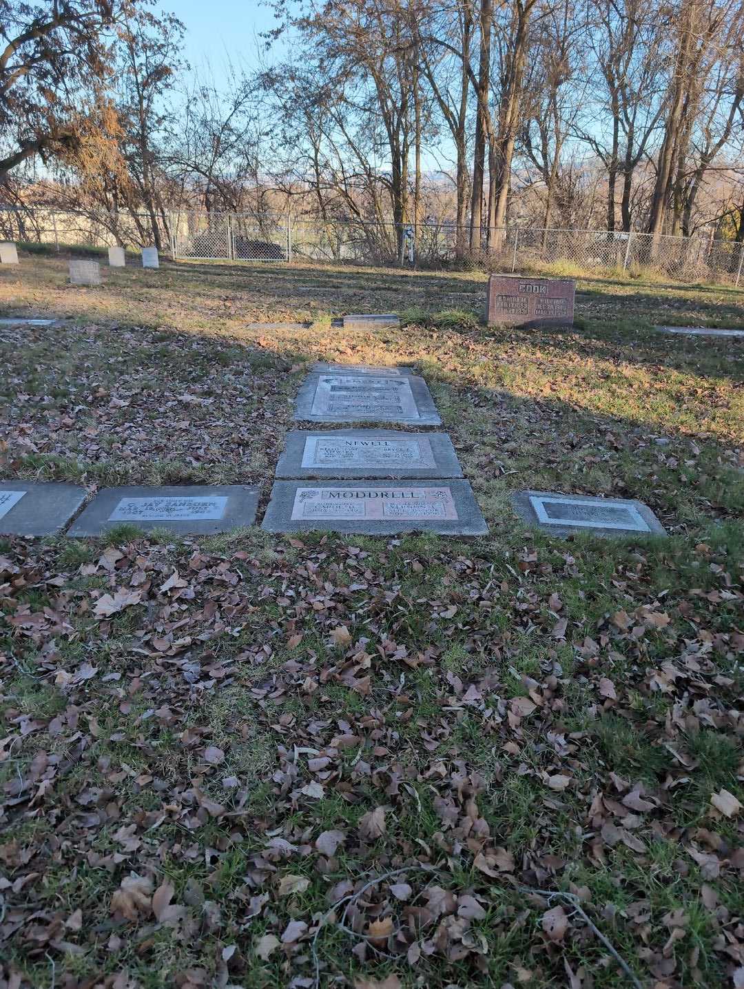 Vernon L. Moddrell's grave. Photo 2