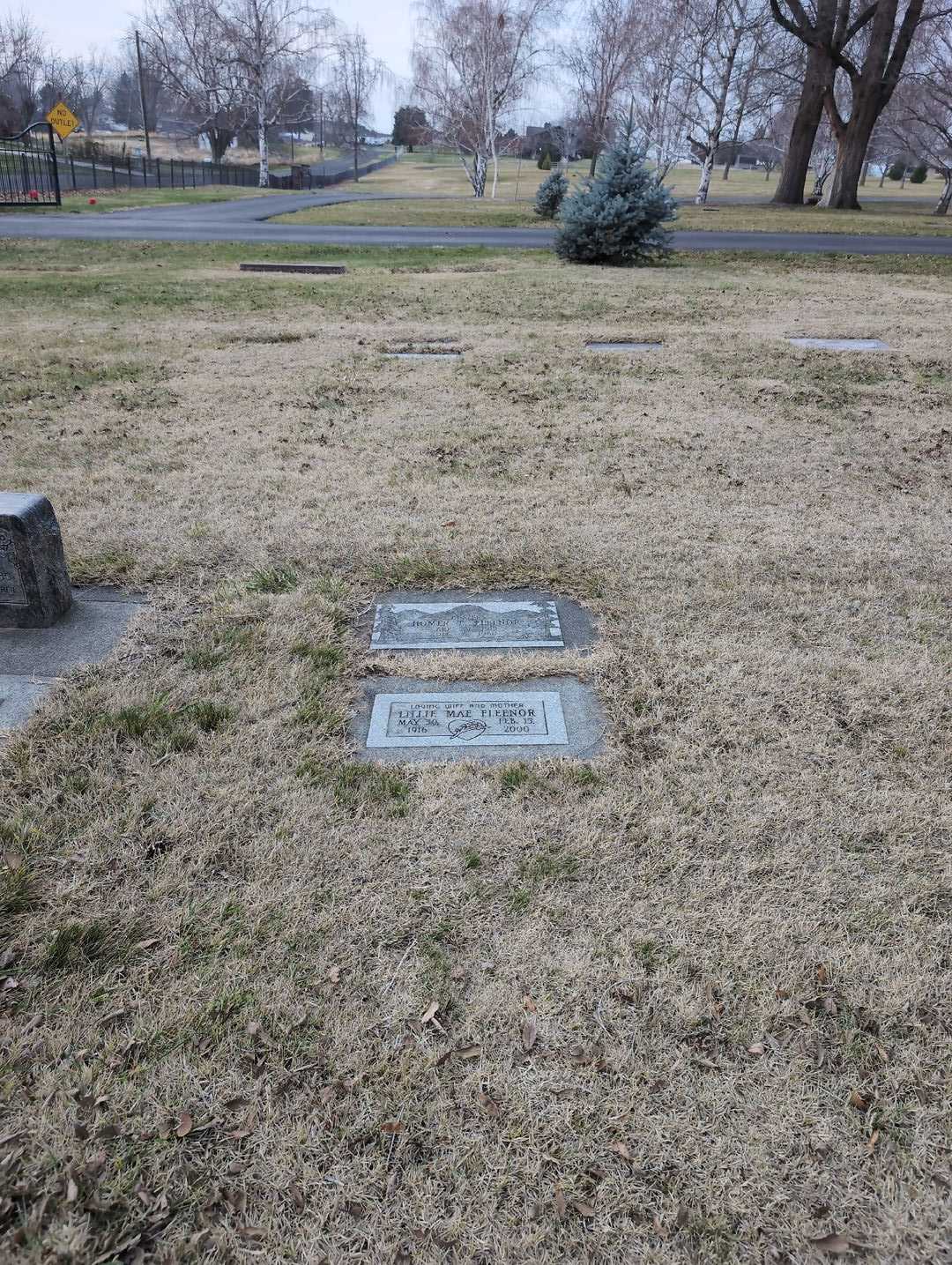 Lillie Mae Fleenor's grave. Photo 4