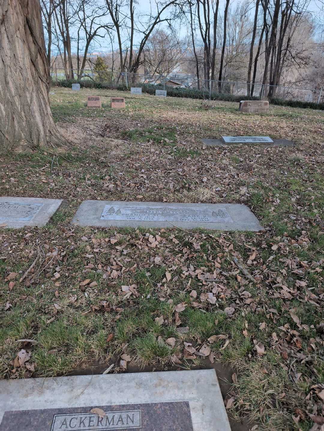 Franz E. Dietrich's grave. Photo 2