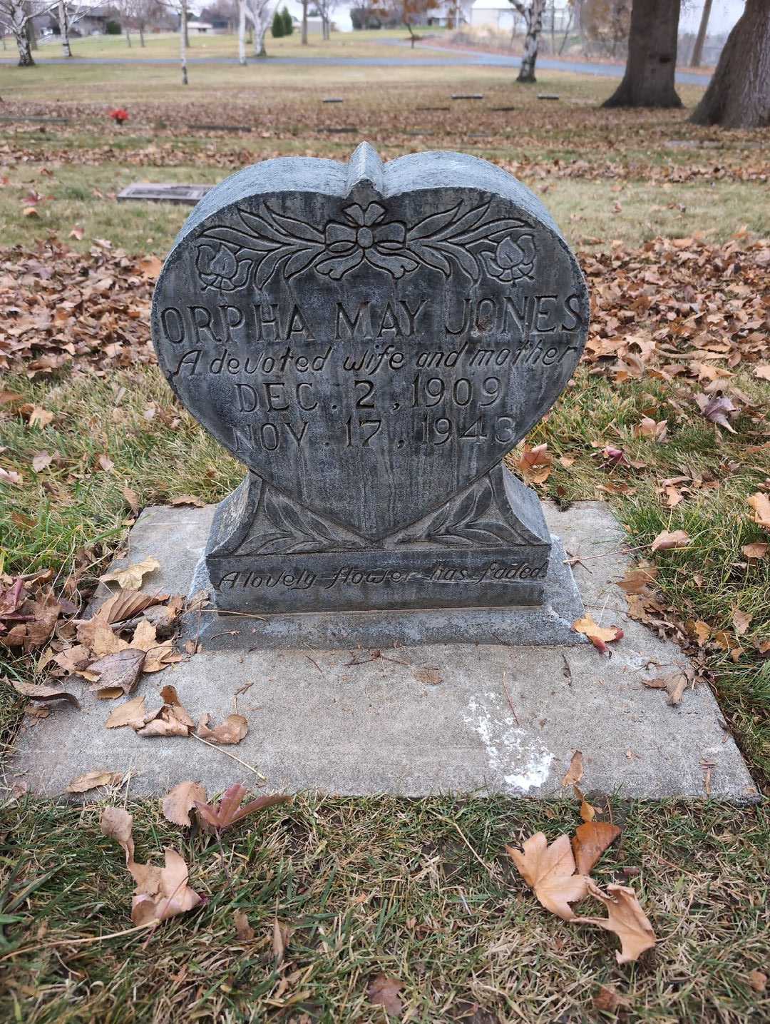 Lonnie L. Doll's grave. Photo 5