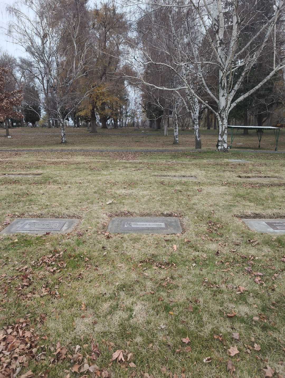 Dolores E. Esteb's grave. Photo 2