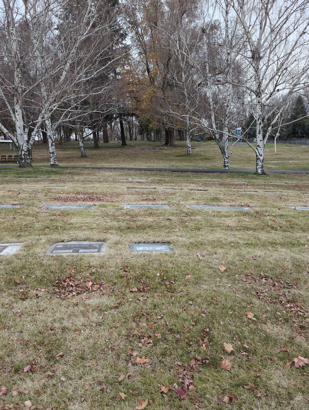 Etta O. Mac Dougall's grave. Photo 2