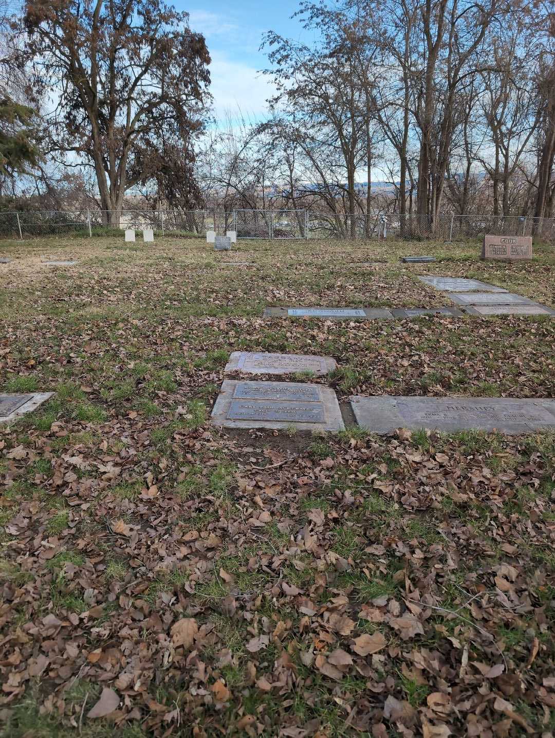 Carl Paul Ackerman's grave. Photo 4