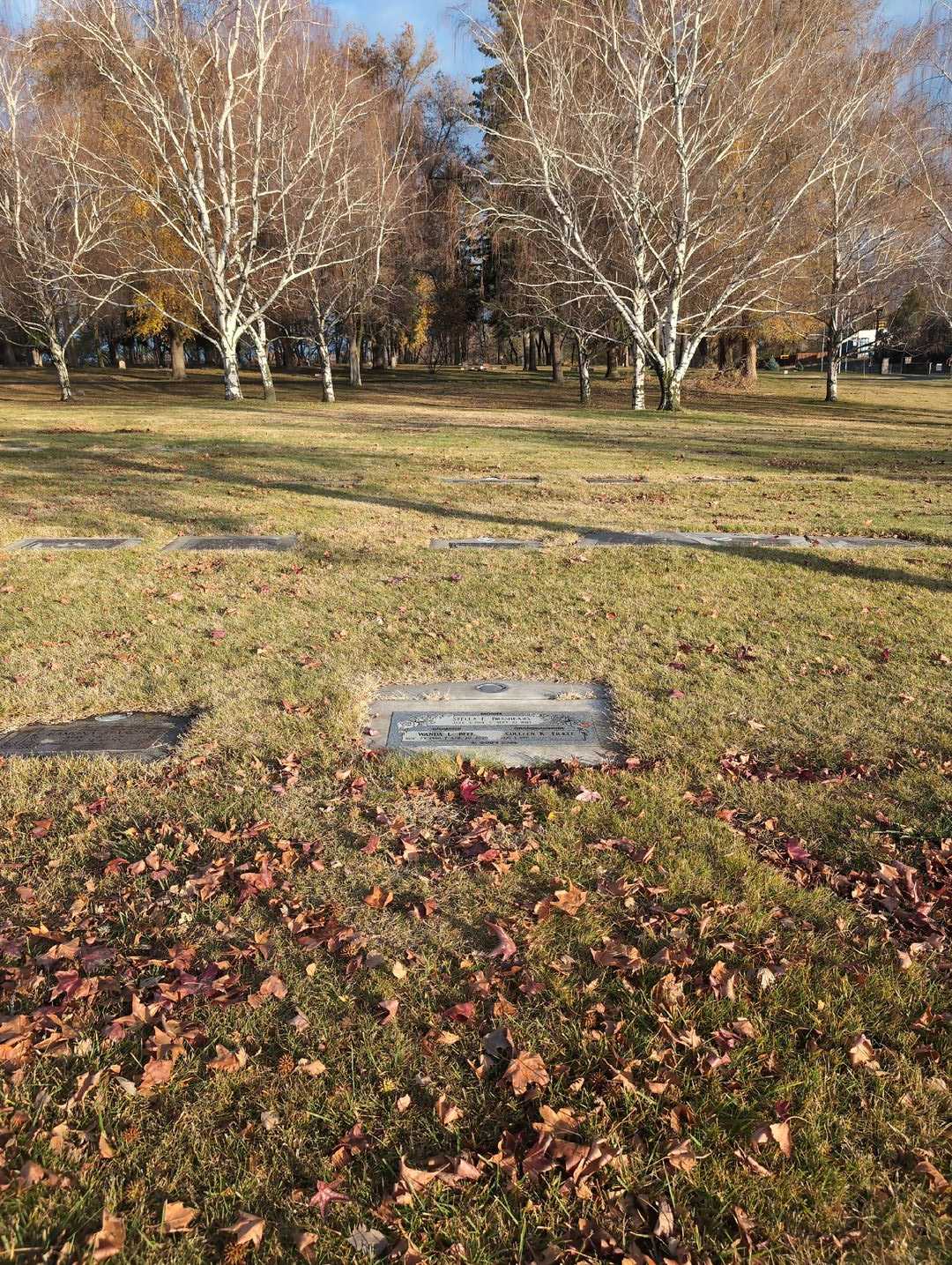 Wanda L. Bell's grave. Photo 2