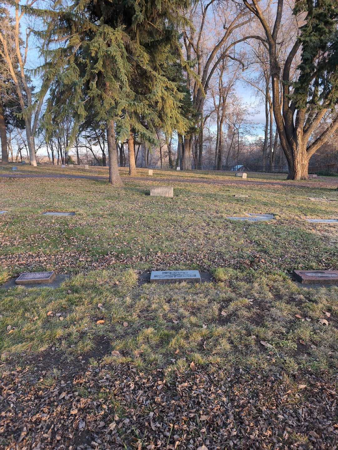 Robert Lee Wendt's grave. Photo 2